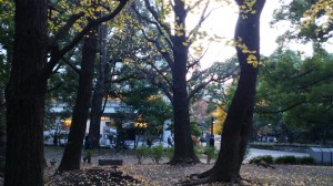 unnamed (3)